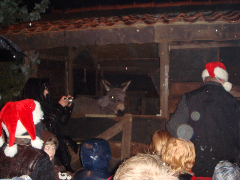 DSC00012_800x600
